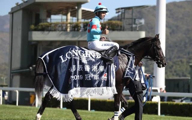 【京都大賞典展望】中距離GIの前哨戦、あの馬の巻き返しを期待したい