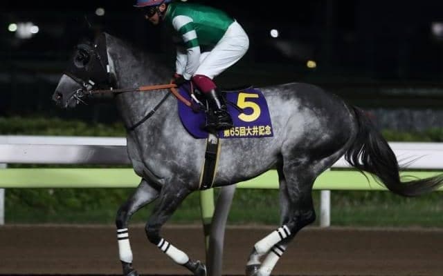 【門別競馬情報】道営記念H1への途もいよいよ佳境！3連勝で王手掛けるかクインズサターン「がんばれ！馬産地日高特別」/地方競馬情報