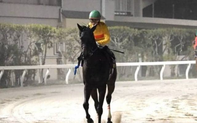 【東京盃】枠順と見所 菜七子コパノキッキングは4枠7番