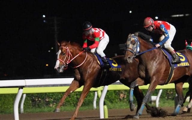 【東京盃】ジャスティンが抜け出す！マテラスカイは痛恨の出遅れ