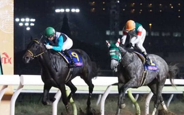 【レディスプレリュード】枠順と見どころ プリンシアコメータは7枠13番