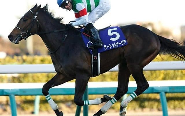 【次走】皐月賞馬サートゥルナーリアはジャパンCで復帰へ