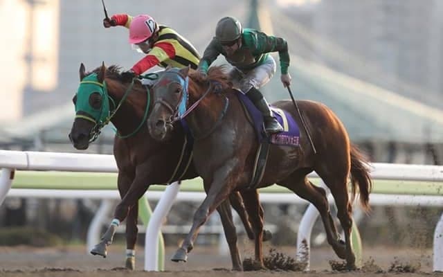 【大井・レディスプレリュード予想】過去の傾向から浮かび上がってきた “4つの好走条件”！ クリアしたのは？/地方競馬レース展望