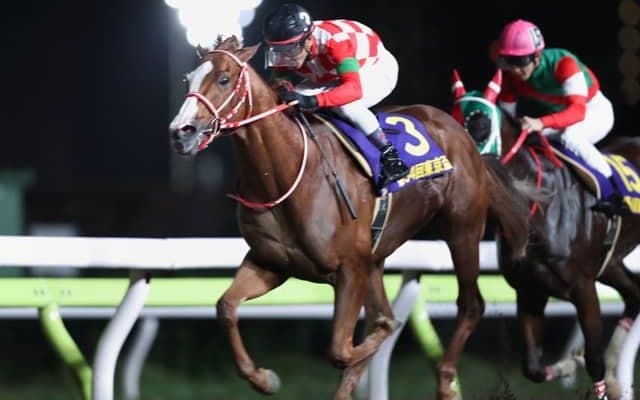 【大井・東京盃結果】ジャスティンが押し切り重賞2勝目