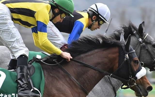 【秋華賞】マジックキャッスルは大野拓弥騎手と新コンビ、浜中俊騎手の騎乗停止で