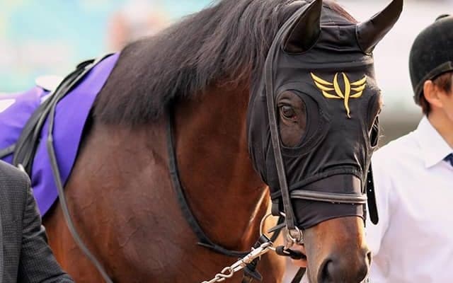【JRA】ダイアトニックが全治9ヶ月以上の剥離骨折、今年の函館SSなど重賞2勝