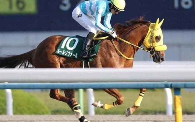 【門別競馬情報】転入4連勝で「道営記念」に王手かルールソヴァール！復権果たせるかスーパーステション「第53回瑞穂賞H2」/地方競馬情報