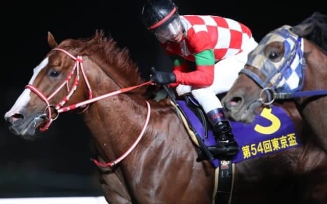 【大井・東京盃】売得金は前年比76.8％の7.9億円