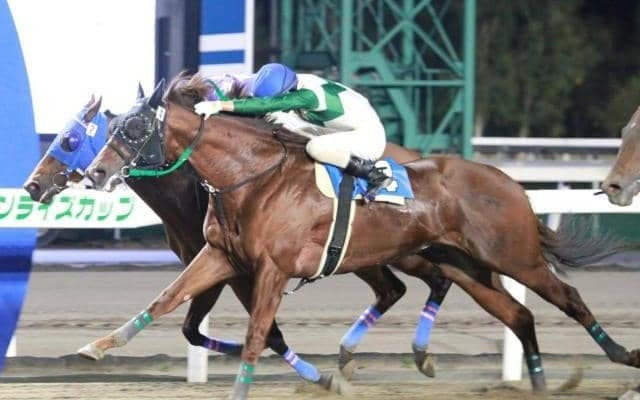 【門別競馬情報】昨夜「第53回瑞穂賞H2」はスーパーステション復活V、勇躍「道営記念」へ！そして、今夜メイン12Rは「リアルインパクト・プレミアム」/地方競馬情報