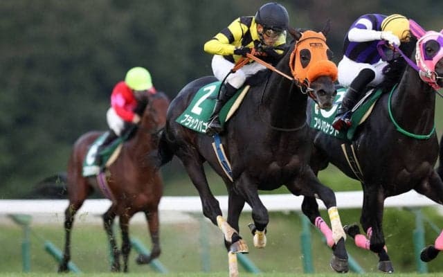 【盛岡・OROカップ】大井所属ブラックバゴが快勝