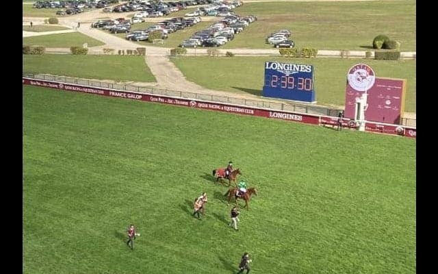 【凱旋門賞】橋田師「馬場が粘土状」日本のディアドラは8着