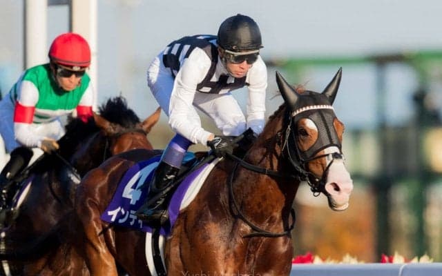 【南部杯】JRA出走予定馬