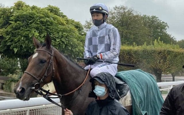 【海外競馬】アマレナ 次走はG3に出走予定