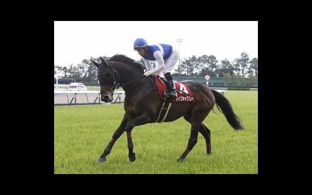 サリオスが本命の毎日王冠。「東京・芝のスペシャリスト」も外せない