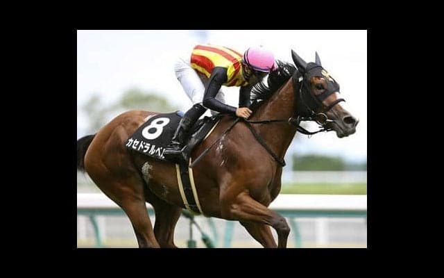 荒れる時は「大荒れ」の京都大賞典。過去の激走馬に似た３頭に夢託す