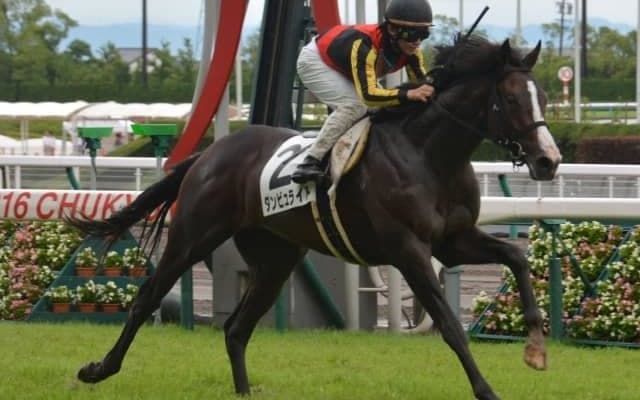 【京都大賞典予想】去勢明け3走目ダンビュライト、新馬戦は不良馬場で勝利/JRAレース展望