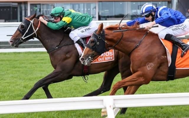 【豪州競馬】オーレカークがG1連勝、ロードカナロア産駒タガロアは大敗/海外競馬レース結果