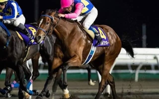 【門別・エーデルワイス賞枠順確定】ラストリージョは1枠1番、ソロユニットは6枠11番