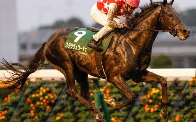 【サウジアラビアRC結果】ステラヴェローチェが突き抜け無傷の2連勝！