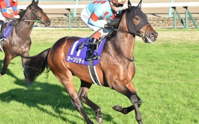 【次走】青葉賞覇者オーソリティはアルゼンチン共和国杯が復帰目標
