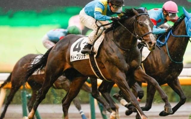 【東京5R新馬戦結果】単勝147.3倍、16番人気のディープリッチがV