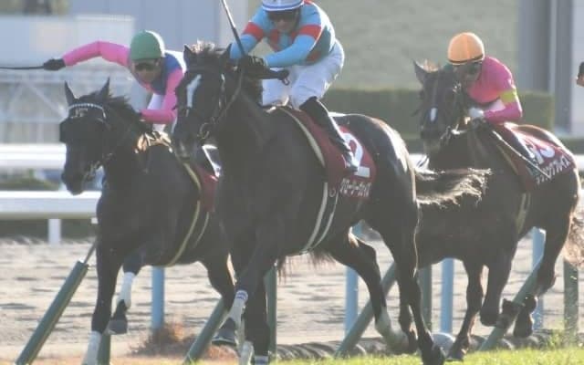 【京都大賞典予想】得意舞台のグローリーヴェイズに期待/JRAレース展望