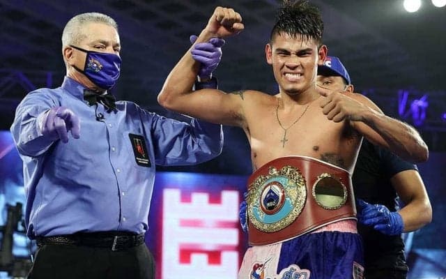 ナバレッテのカウンター炸裂　強烈ダウンの“渾身左フック”に米興奮「見るの楽しい」