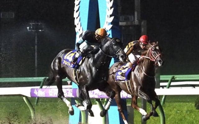 【南部杯】アルクトスが悲願のG1制覇