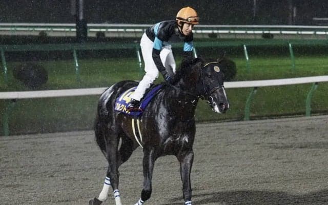 【南部杯】田辺「余裕を持って進めた」アルクトスが交流G1初制覇！