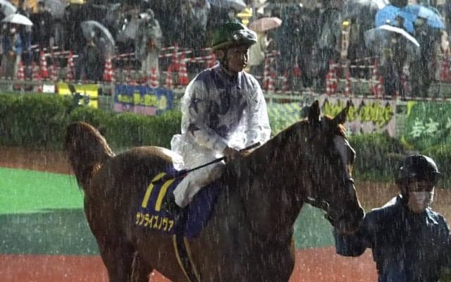 【南部杯】松若「展開に恵まれなかった」サンライズノヴァは届かず4着