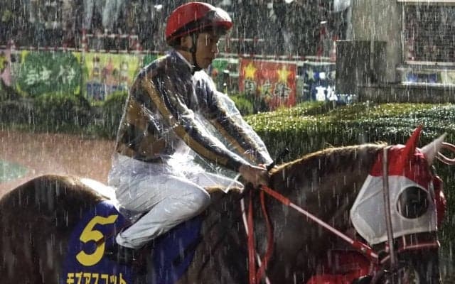 【南部杯】横山武「勝ちたかったです」モズアスコットは惜しい2着