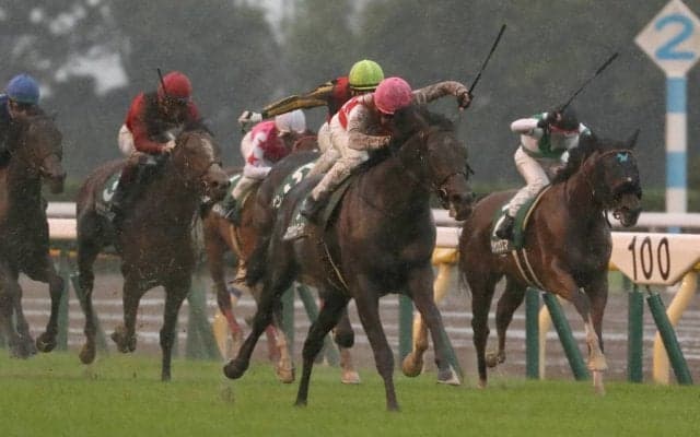 【サウジアラビアRC】ステラヴェローチェがデビューから2連勝！