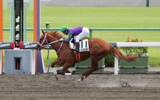 【新馬/京都4R】ディオスクーロイがデビューV！5馬身差完勝
