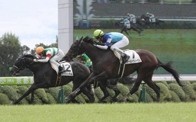 【新馬/京都5R】アールドヴィーヴルが測ったような差し切り！デビューV