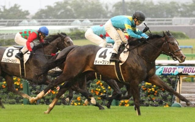 【新馬/東京5R】3連単444万円超え！16番人気 ディープリッチが勝利で大波乱