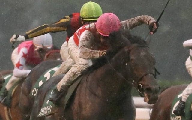 【サウジアラビアRC】横山典「思った通りの競馬」ステラヴェローチェがデビュー2連勝！