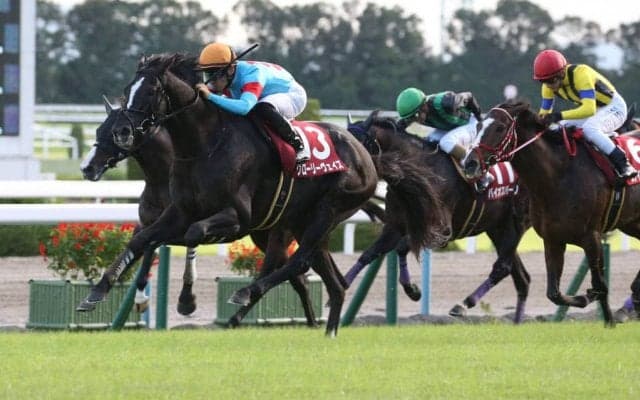 【京都大賞典】グローリーヴェイズが秋初戦を勝利！