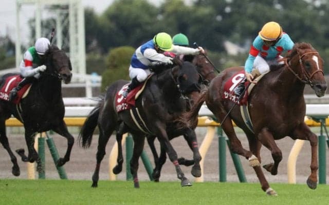 【毎日王冠】サリオスが古馬を圧倒！秋初戦を勝利
