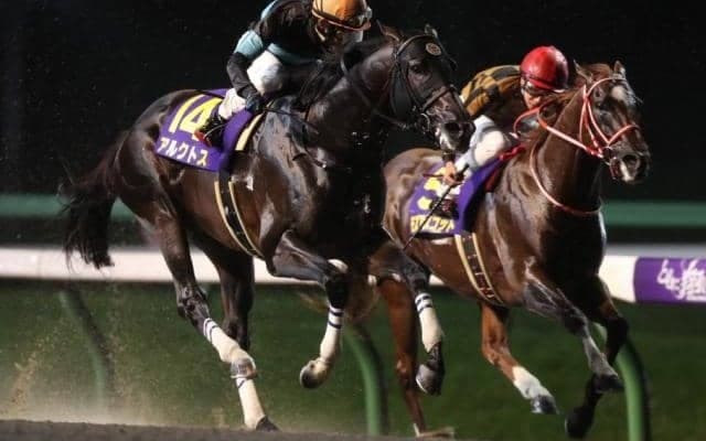 【盛岡・マイルCS南部杯結果】アルクトス、1分32秒7の日本レコードV！JpnI初制覇！