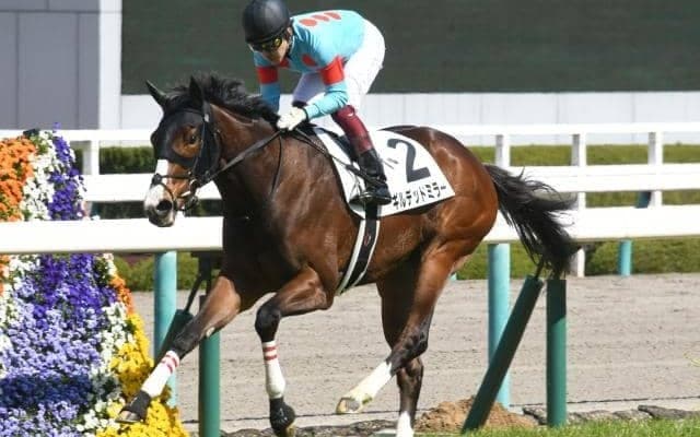 【信越Sハンデ確定】ギルデッドミラーは52kg、ダノンチェイサーは56kg