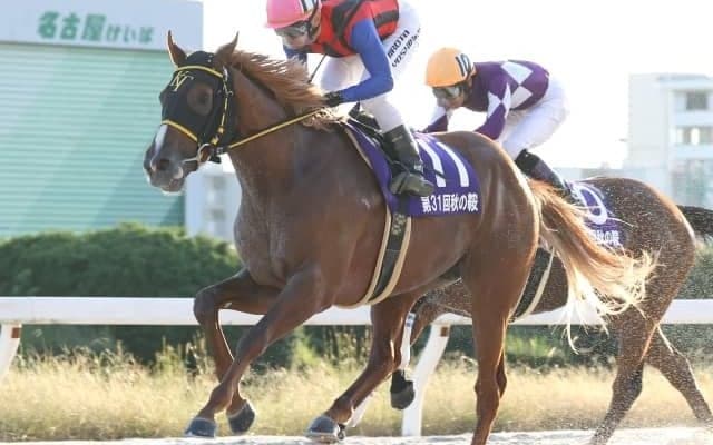 【名古屋・秋の鞍結果】川崎のヴァケーションがゴール前差し切り重賞3勝目