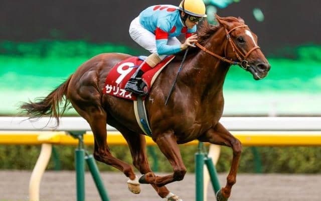 【毎日王冠】売上は59億8705万0300円で昨年から増加