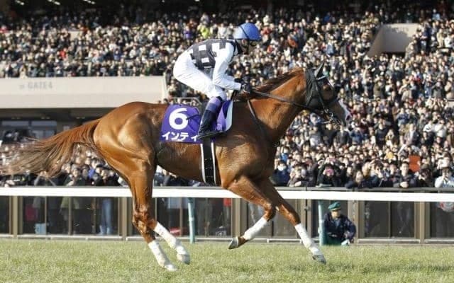 【マイルチャンピオンシップ南部杯予想】豪華メンバーが競いあうJBCを占う重要な一戦！/NARレース展望