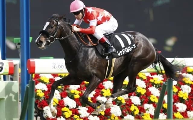 【府中牝馬S】レッドベルローズは回避、自己条件へ