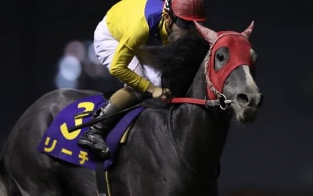 【鎌倉記念】「跨がった瞬間にいい馬だなと」 北海道のリーチが重賞2連勝