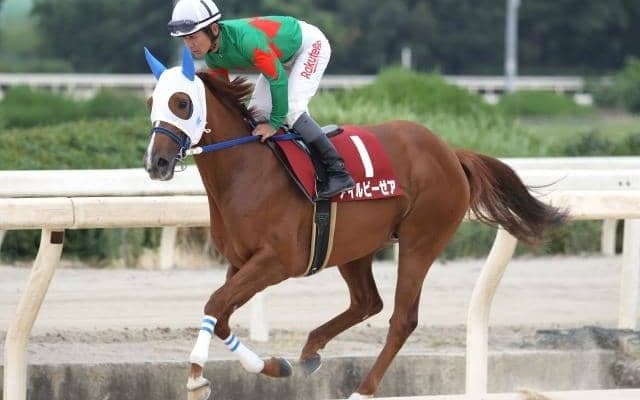 【兵庫若駒賞予想】地元馬同士ならアイルビーゼア、初タイトルへ/NARレース展望