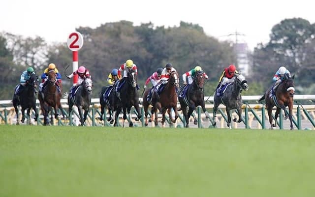 【天皇賞秋想定】アーモンドアイ、クロノジェネシス、ウインブライトなどGI馬7頭含む12頭