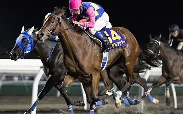 【門別・エーデルワイス賞予想】 2歳馬の完成度が問われる一戦！ JRA勢に相対するのは、地元を知り尽くした角川師が送り込む“刺客”/地方競馬レース展望