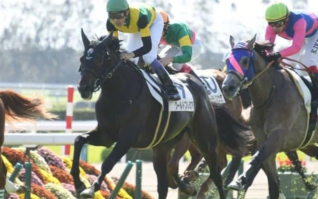 菊花賞馬ワールドプレミアは15日帰厩、ジャパンCへ