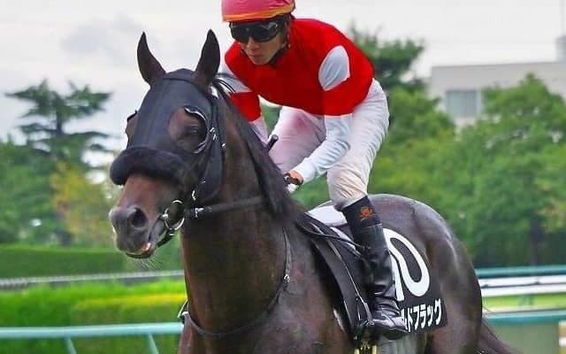 【先週のJRA抹消馬】重賞3着3回のランドネ、ゴールドシップの全弟ゴールドフラッグなど